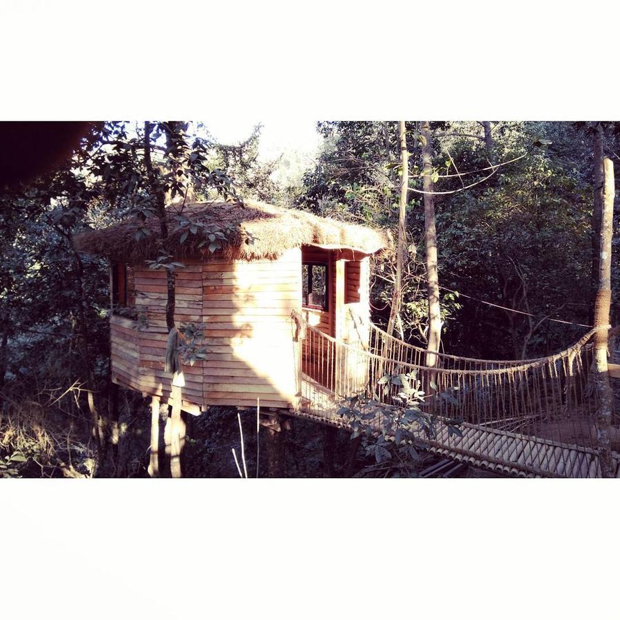 加德满都 Bunjungle Adventures酒店 外观 照片