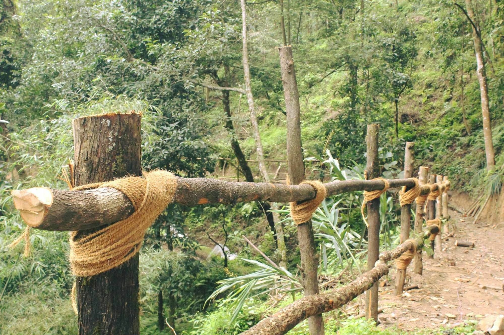 加德满都 Bunjungle Adventures酒店 外观 照片